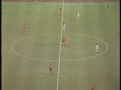 fc madgeburg vs fc bayern 1980 euro qualifications
