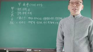 갑진년의 갑을목운세