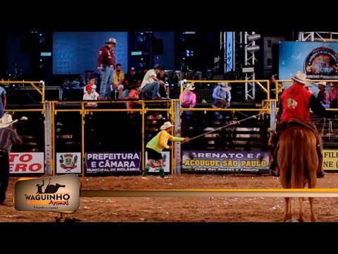 Waguinho Animal - Semi final touro em Riolândia 06/08/16