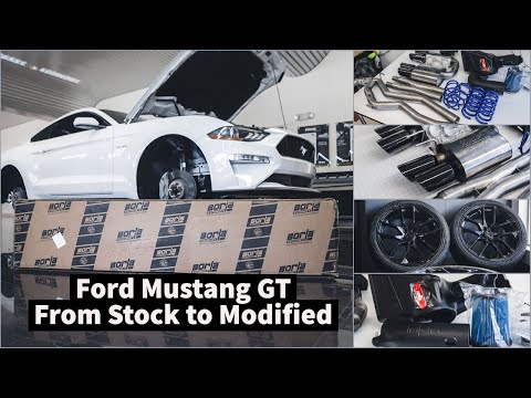 2021 Ford Mustang GT Customization and Mods - Borla Atak Exhaust /Injen Air Intake /Lowering Springs