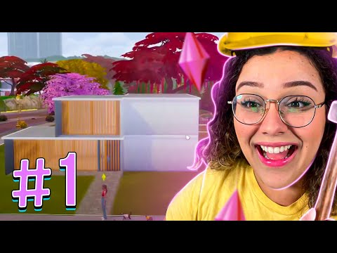 Maethe a Obra - A casa (não) colorida #1