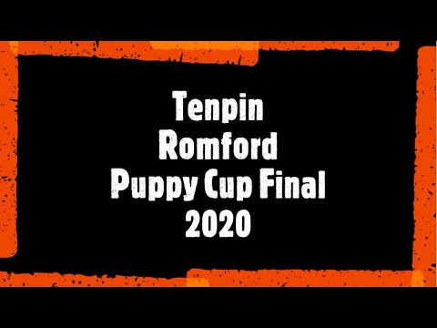 Romford Puppy Cup Final 2020