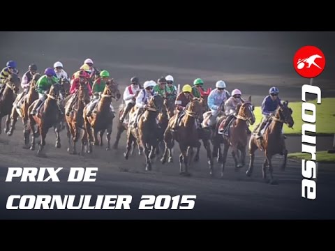 Prix de Cornulier 2015 - La course