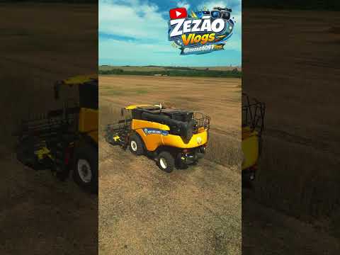 COLEDERIA COLENDO O SOJA.#shortsyoutube #feed #feed #sojabrasil #SOJAGOIAS #rioverdegoias