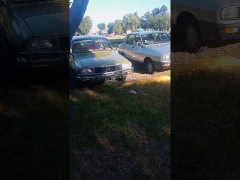 el domingo en Firmat el club de Renault 12 venado tuerto Santa una juntada