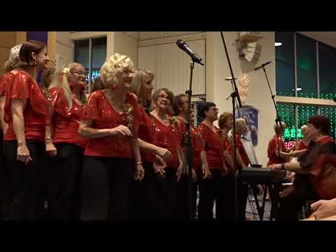 Bayside Divas - Island in the Sun