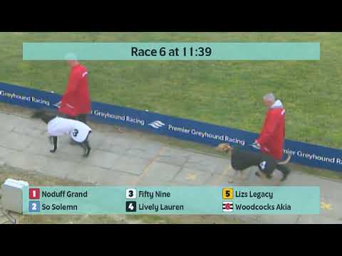 Crayford Races on Saturday 4th February 2023 - Golden Jacket Heats