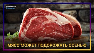 МЯСО МОЖЕТ ПОДОРОЖАТЬ ОСЕНЬЮ ИЗ-ЗА ДЕФИЦИТА 
