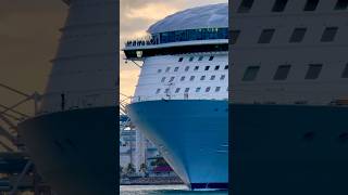 Wonder of the Seas 🛳️ #like #share #comment #subscribe #youtubeshorts #shortvideo #short #shorts