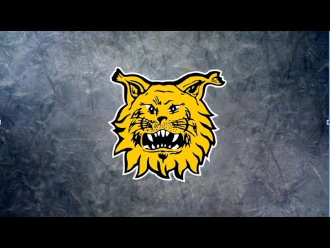 3.11.2019 ILVES Ringette F turnaus, Huittinen