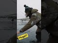 Video Thumbnail for How Do Perch Get This Big!?