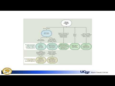 Video 158 1 Low Grade Gliomas Diffuse Astrocytoma and Oligodendroglioma