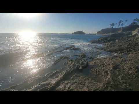 Treasure Island Beach - October 12, 2020