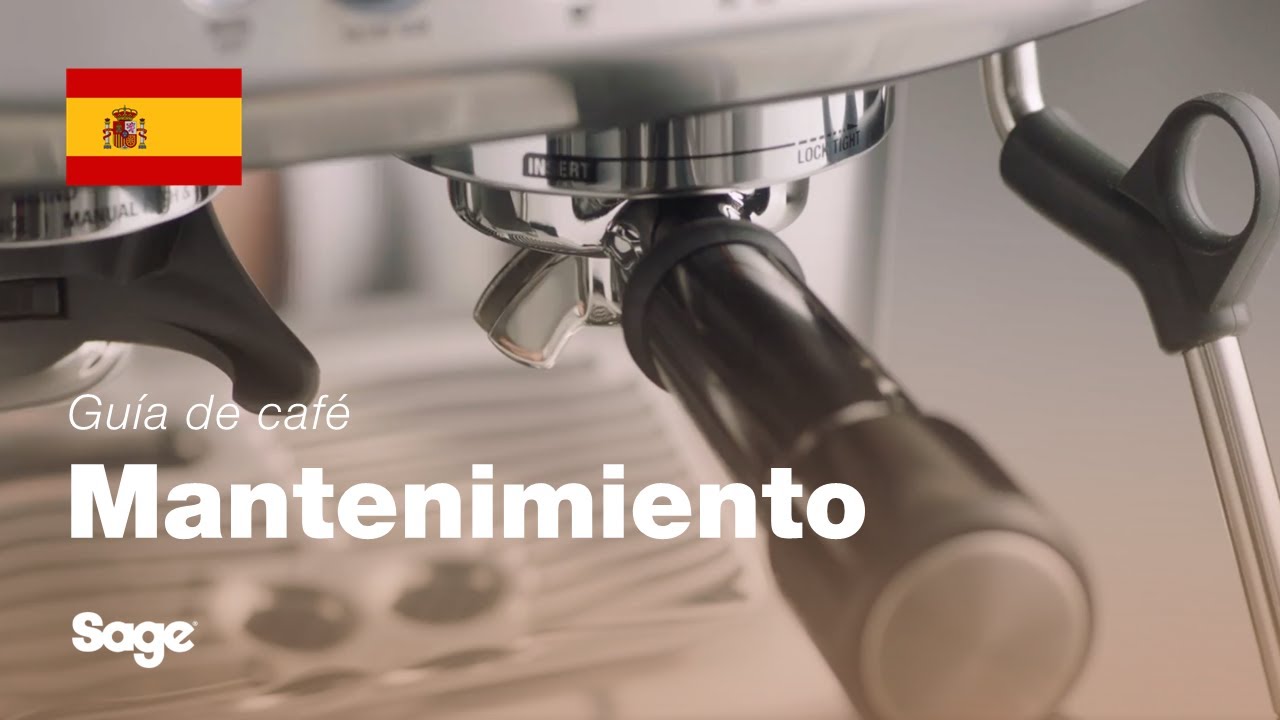 Cómo realizar un ciclo de limpieza