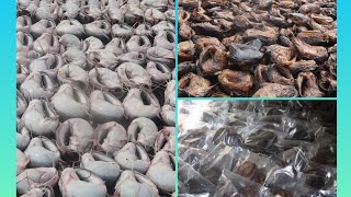 How I process And Packed  Dry Catfish will Make You Buy Many Quantities