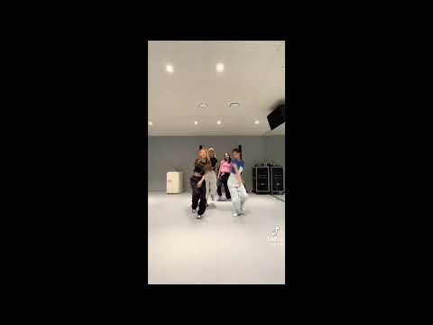 Hyoyeon Yuri Yoona Sooyoung SNSD dance challenge Tik Tok ( Dance Line)