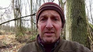 Video: What is Forest School?