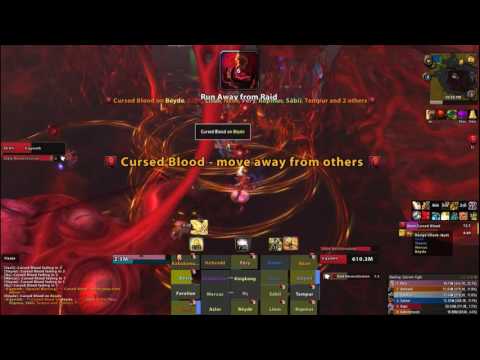 Mystery vs Il`gynoth The Heart of Corruption Mythic Holy Paladin PoV