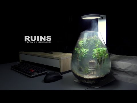 Watch Video on YouTube