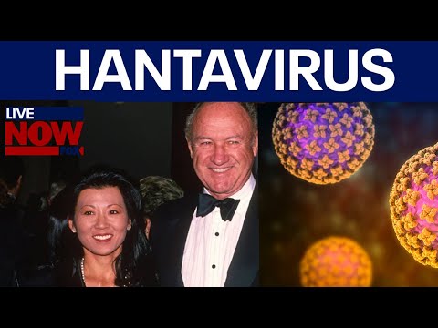 Video | What is Hantavirus? Gene Hackman's wife dies from rare rat disease