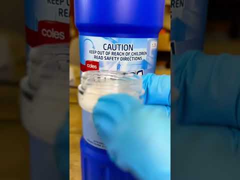 Bacteria VS Bleach under the microscope!