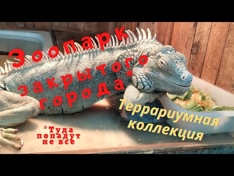 ЗООПАРК ЗАКРЫТОГО ГОРОДА. ТЕРРАРИУМНАЯ КОЛЛЕКЦИЯ. ЛЕТО 2021