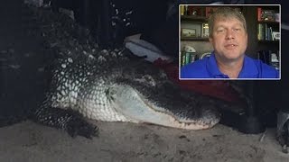 Man Stunned to Witness 10-Foot Alligator Seeking Shelter In His Garage