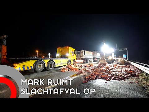Mark schepte hele nacht tonnen slachtafval van A67
