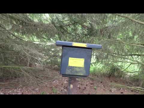 Stempelstelle 173 Gaststätte Hirschbüchenkopf - Harzer Wandernadel