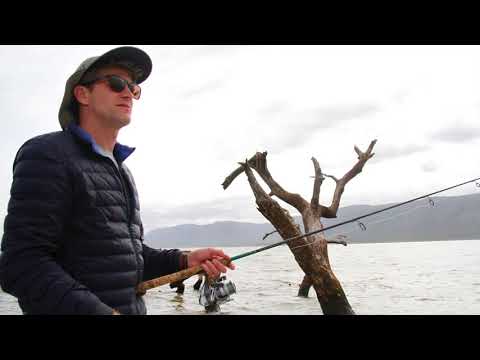 Shayamanzi Houseboats