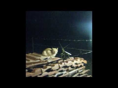 planet uterus - planet bandcamp