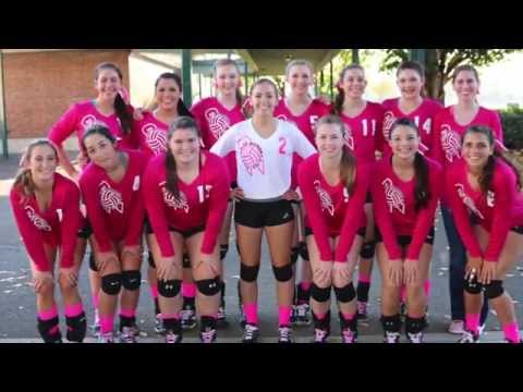 NM Volleyball 2015