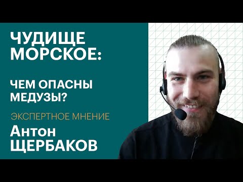 Обложка видео