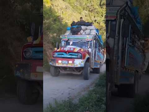 la chiva amparito por la vereda las herreras en el municipio de Teruel Huila #campo #chivas #café