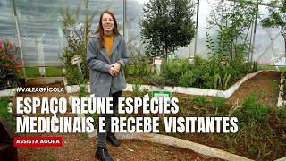 Miniatura do vídeo
