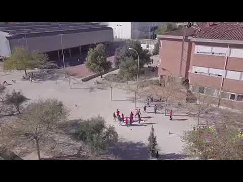 Dia del Deporte 2020.CEIP.Martínez Valls