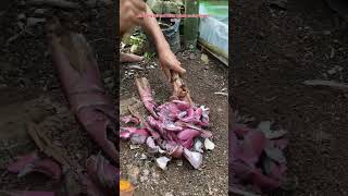 Download lagu HOW TO MAKE A WORM POND FOR FISHING BAIT😅 #96 #bocahpecicilan mp3