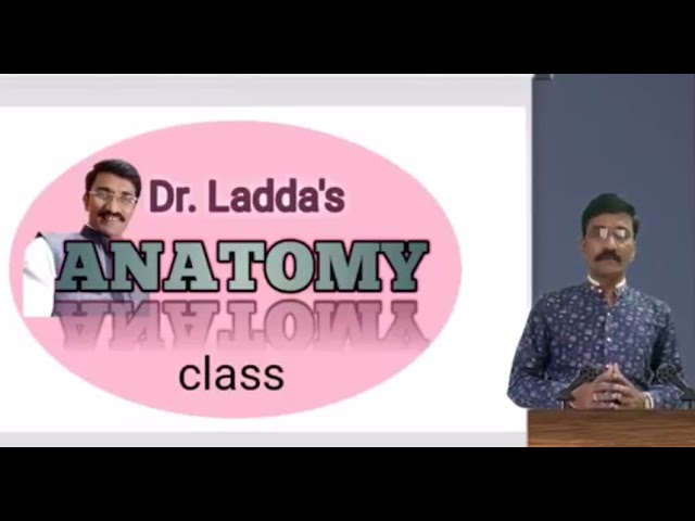 Judge.me YouTube video placeholder