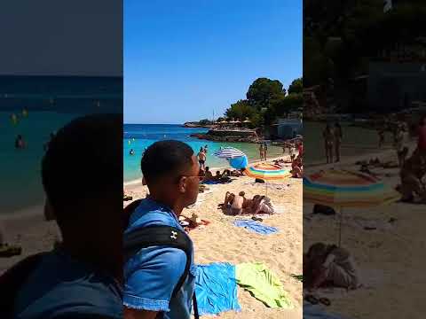 Majorca Beach ✨🏝☀️ Illetes Cala Comtesa ✨ #shorts #playa #beach