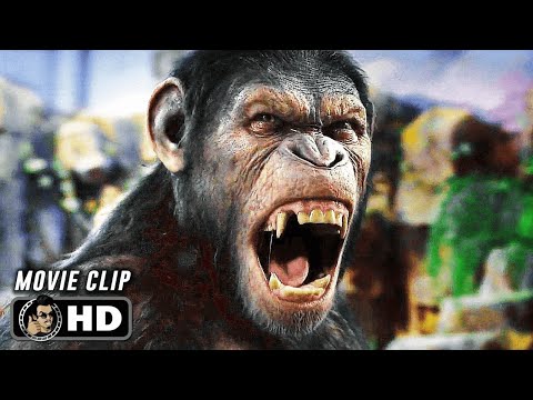 Caesar Says No Scene | RISE OF THE PLANET OF THE APES (2011) Sci-Fi, Movie CLIP HD
