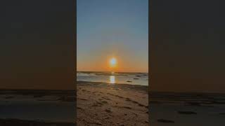 Download lagu #shorts #pantai #senja #sunset mp3