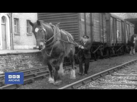 1962: The Last Railway Horses | Tonight | World of Work | BBC Archive