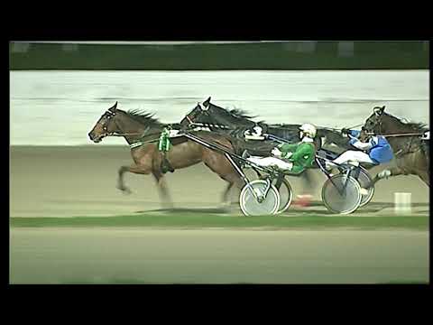 Trotto 18/12/2020 - 8ª corsa