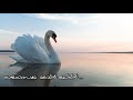 Rajahamsame Mazhavil Chamayam K S Chithra High Quality Audio