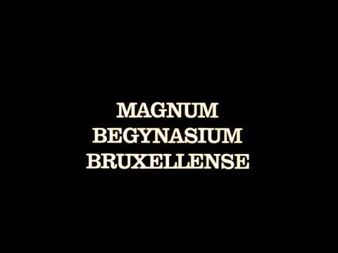 Boris Lehman - Magnum Begynasium Bruxellense (Trailer)