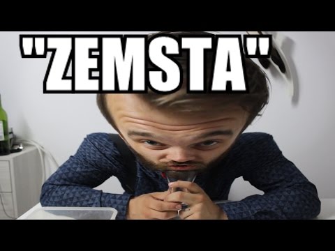 Streszczenia lektur - "Zemsta"