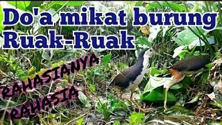 Download lagu do'a rahasia mikat ruak ruak agar cepat dapat mp3