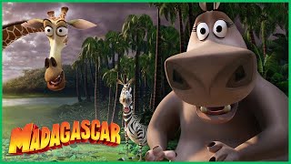 Muito bem, rapazes, a diversão acabou! | DreamWorks Madagascar em Português