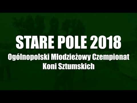 Ogólnopolski Młodzieżowy Czempionat Koni Sokólskich - Szepietowo 2018