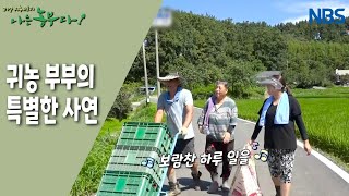 [홍고추 농장의 굳세어라 영란 씨!] 귀농 4년 차, 시끌벅적 농부 가족